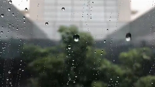 تا وقتی عشق هست چرا دروغ؟؟؟