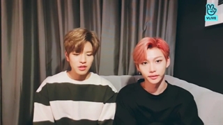 قسمت 6 ویلایو فیلیکس و سونگمین اعضای استری کیدز(Puppy Cat School ) با زیرنویس آنلاین فارسی