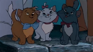 قصه موزیکال گربه های اشرافی