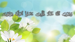 تلاوت قرآن کریم # قاری جعفری