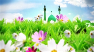 ویژه ولادت حضرت قائم صاحب الزمان عجل الله