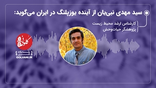 سید مهدی نبی‌یان از آینده یوزپلنگ در ایران می‌گوید