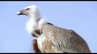 آنچه در قسمت دوم سریال دراکولا خواهید دید | تیزر قسمت 2 سریال دراکولا