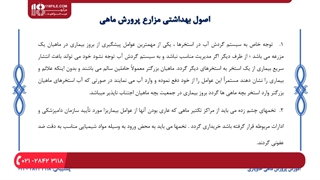 طریقه شناخت بیماری سفیدک تاس‌ماهی ها و راهی برای درمان