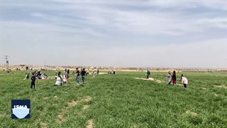 روز طبیعت در سه شهر نارنجی