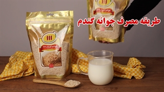 جوانه گندم