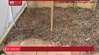 گلخانه - کفپوش کارتونی برای گلخانه