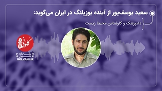 سعید یوسف‌پور از آینده یوزپلنگ در ایران می‌گوید