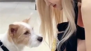 اپدیت تیک تاک رزی