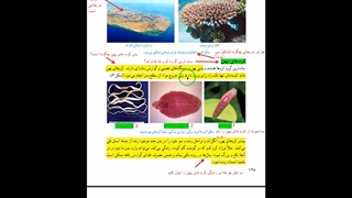 فصل 13 علوم نهم جانوران بی مهره