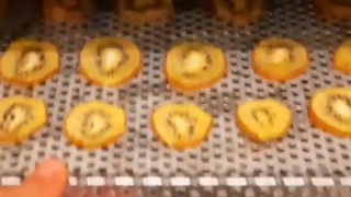 دستگاه چیپس میوه،سیب زمینی،خشککن پرتقال،خشککن کیوی،خشککن آویشن،خشککن زعفران،خشککن چای،خشککن توت