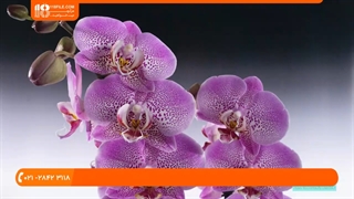 آموزش اصول عکاسی _ تنظیمات مناسب دوربین شما