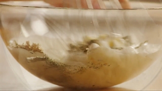 طرز تهیه و دستور پخت سس رنچ - غذاپز