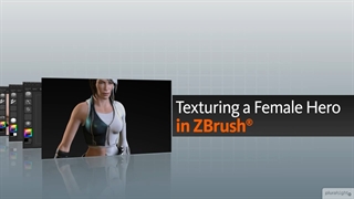 آموزش تکسچرینگ انسان در زیبراش