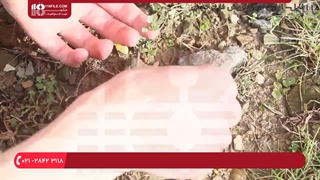 آموزش ساخت تراریوم کاکتوس _ خاک مناسب برای تراریوم