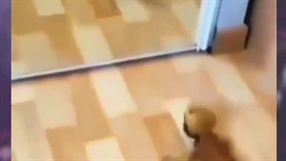 یک روز عادی در اتاق سوک جین