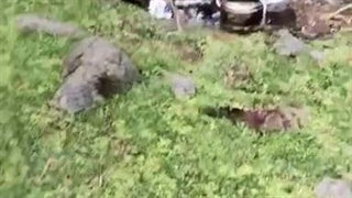 آرامش  دکلمه وشعر:کیارش محصلی kiastudio