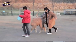 برنامه ترژر مپ (treasure map) قسمت 8 با زیرنویس فارسی آنلاین