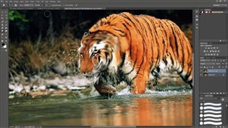 آموزش فتوشاپ عکس