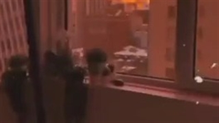 گرانچ *-* ناموصا من عاشقشونمممم