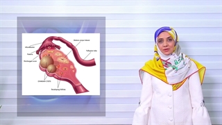 سرطان های دستگاه تناسلی زنان