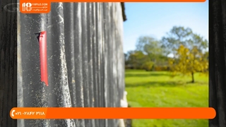 آموزش اصول عکاسی _ عمق میدان دید و میزان فوکوس