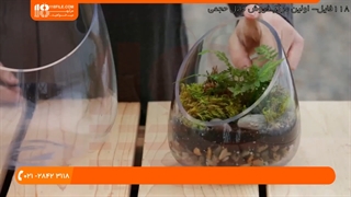 تراریوم - آموزش ساخت تراریوم فانتزی