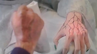 قسمت24 سریال چینی نگهبانان مقبره+زیرنویس فارسی