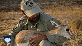 جنگ خاموش محیط‌بانان در طبیعت