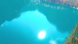 چالش آفتابگردان** جواب چالش دوستم فاطمه جون