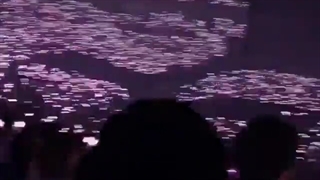 لایت استیک بلک پینک