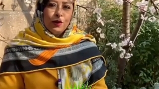 ( هشتمین سین سال آرزو سلامتی برای شماست )