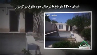 فروش 2300 متر باغ با درختان میوه متنوع در کردزار