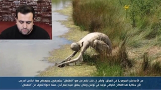 ویدیو ترسناک جنی به نام طنطل_ فیلم لحظه به دام افتادن جن کافر، موجودی ترسناک در ایران __ واقعی  13(720P_HD)(720P_HD)