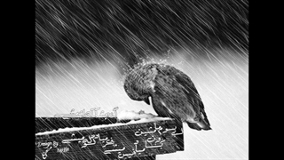 گنشجگک اشی مشی