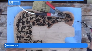 ایجاد طرح های زیبا بر روی چوب گیتار با دستگاه لیختنبرگ