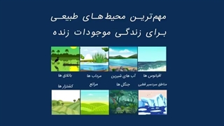 اکوسسیتم یا بوم ساز