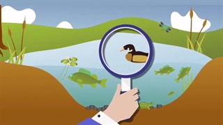 اکوسسیتم یا بوم ساز