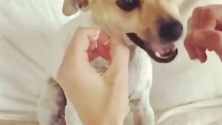 اهمیت استفاده از نخ دندان برای همه | کلینیک تخصصی دندانپزشکی کانسپتا