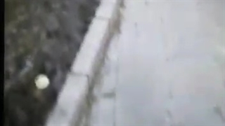 ملکیان کتابخوانی