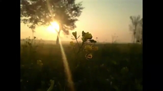 رمضان مبارک *-*