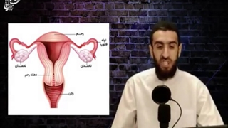 قرآن مراحل رشد جنین رو بصورت غیرعلمی و بی نظم بیان کرده و عده ای هم میگن   اعجاز علمی قرآن ؟!؟!؟!