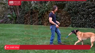 آموزش جای دستشویی و قوانین خونه به سگ آموزش سوم !