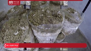 پیش سالن ( پرورش قارچ ) به چه مکانی گفته می شود؟