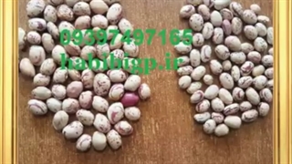 خرید لوبیا چیتی عمده خمین ارزان مرغوب