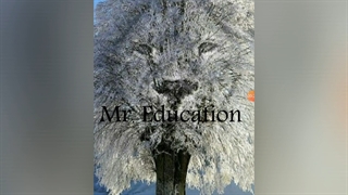 ۵ فیلم کمدی. خدا حافظی