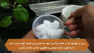 استفاده از نمک به عنوان کود خانگی