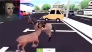 آریا کئوکسر/ گیم شبیه ساز گوزن