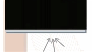 وظیفه اصلی پروستات چیست؟