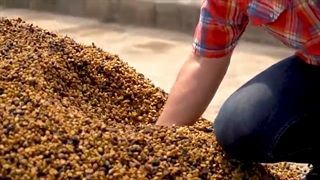 آشنایی با روش فراوری با عسل